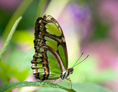 2_0002_Layer_4.jpg 2_0002_Layer_4.jpg